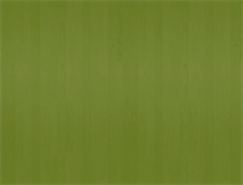 Tablet Screenshot of green-olive.co.za